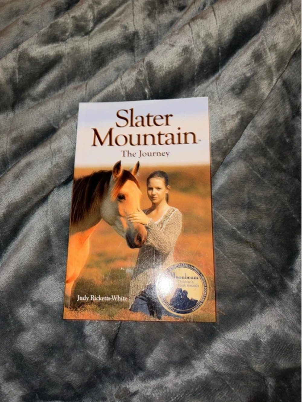 Slater Mountain The Journey by Judy Ricketts-White